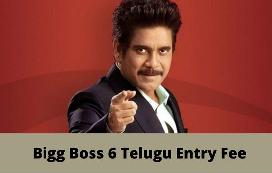 Bigg Boss 6 Telugu Entry Fee