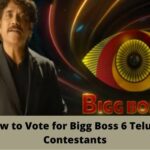 How to Vote for Bigg Boss 6 Telugu Contestants