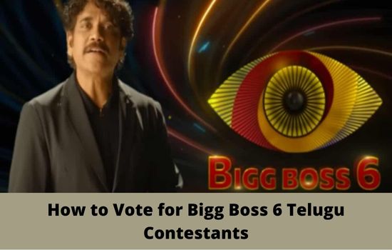 How to Vote for Bigg Boss 6 Telugu Contestants