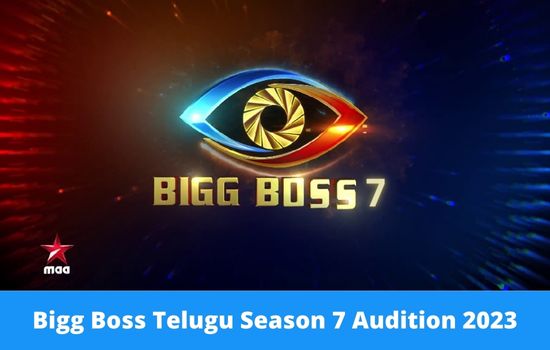 Bigg Boss Telugu Season 7 Audition 2023