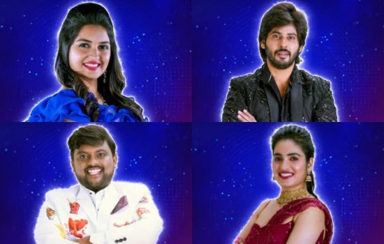 BB 7 Telugu Contestants List